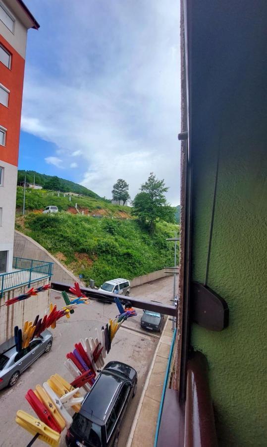 Apartman Pavle Pluzine Exterior photo